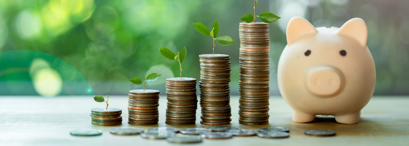 Stack of coins growing in height with plant on top and beige piggy bank next to them